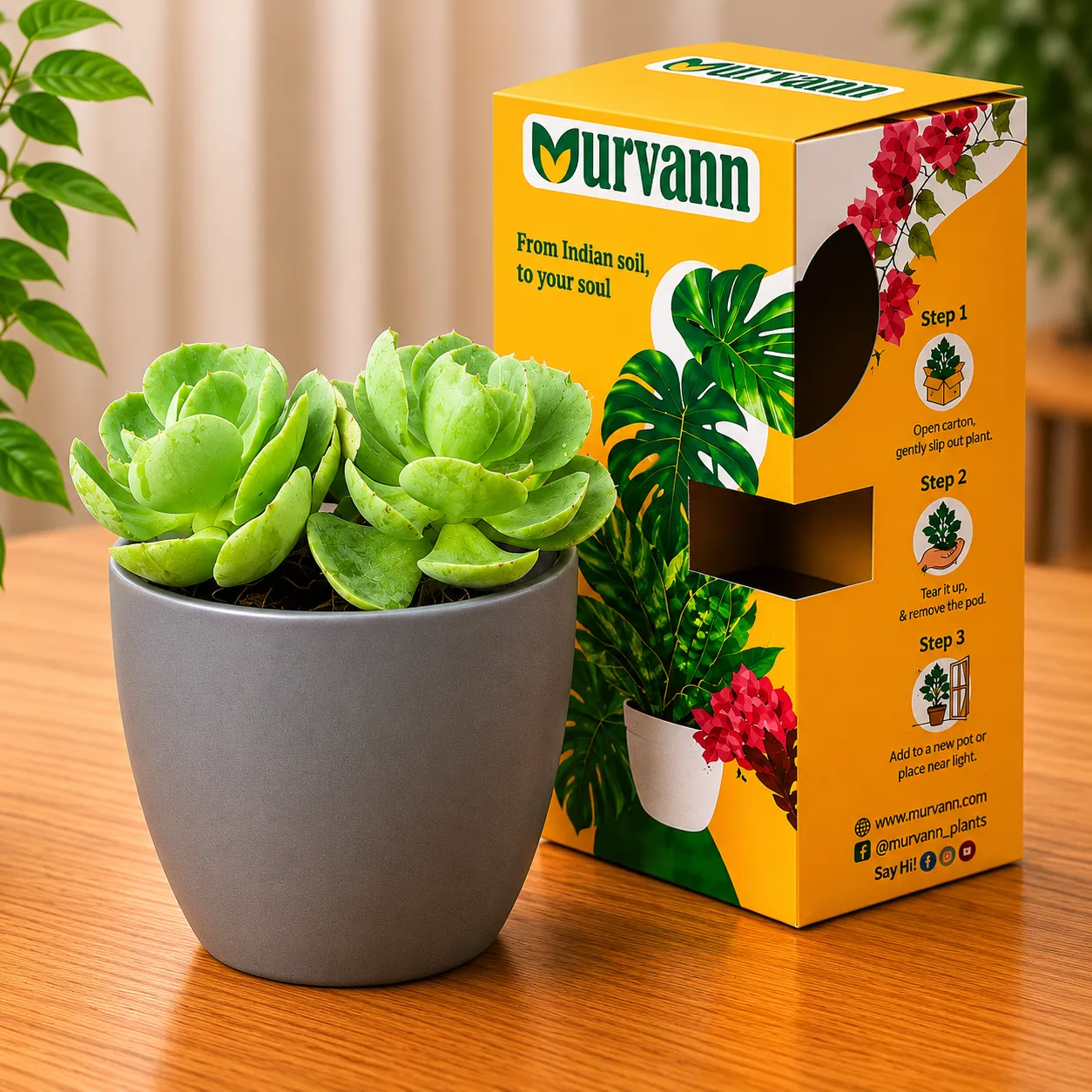 Echeveria Suncup Succulent in 4 Inch Grey Matt Pixel Cup Ceramic Planter - in Premium Gifting Box