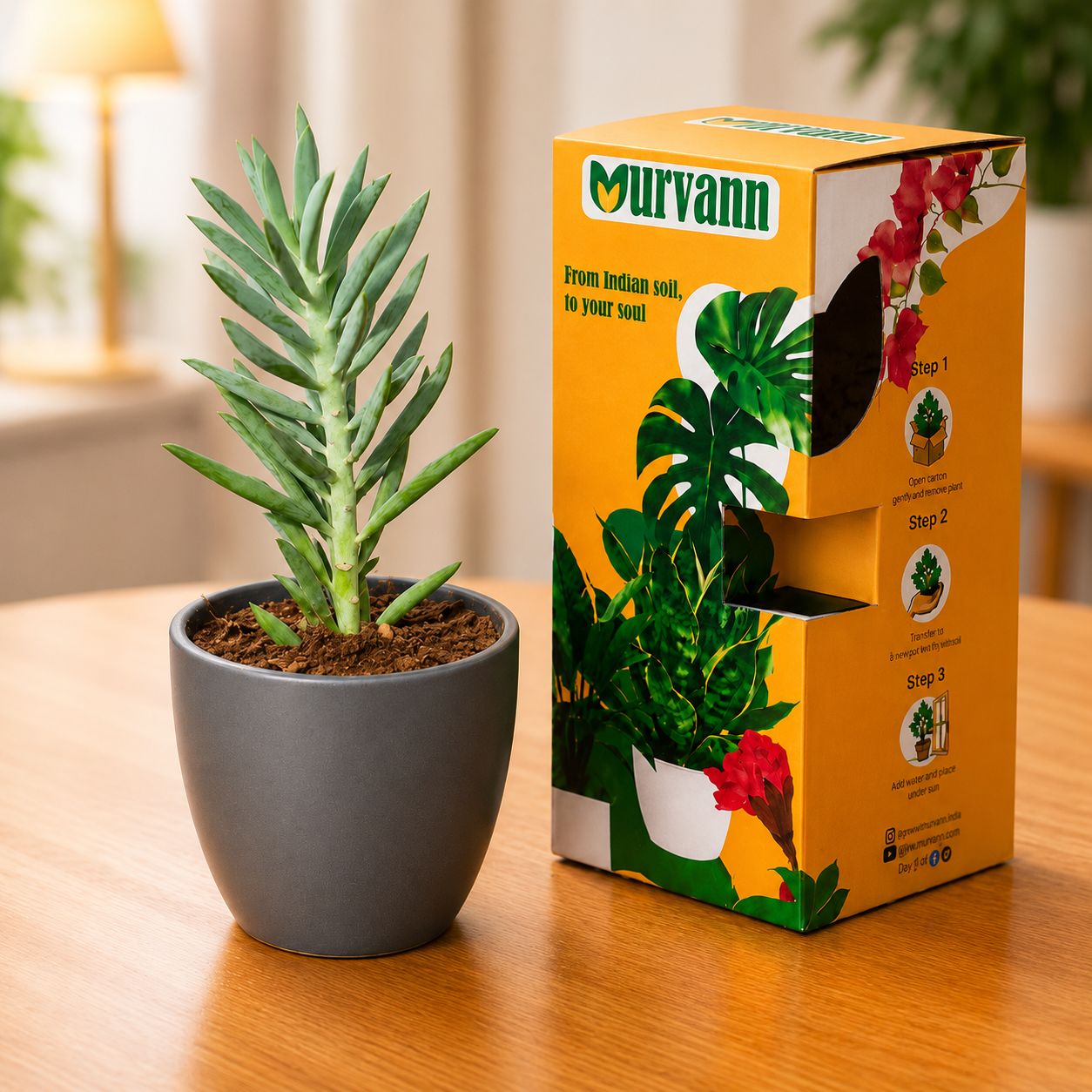 Curio Ficodes/Repens Succulent in 4 Inch Grey Matt Pixel Cup Ceramic Planter - in Premium Gifting Box
