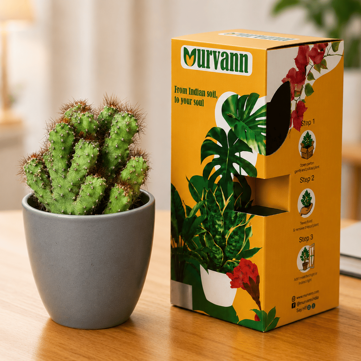 Boxer cactus in 4 Inch Grey Matt Pixel Cup Ceramic Planter - in Premium Gifting Box