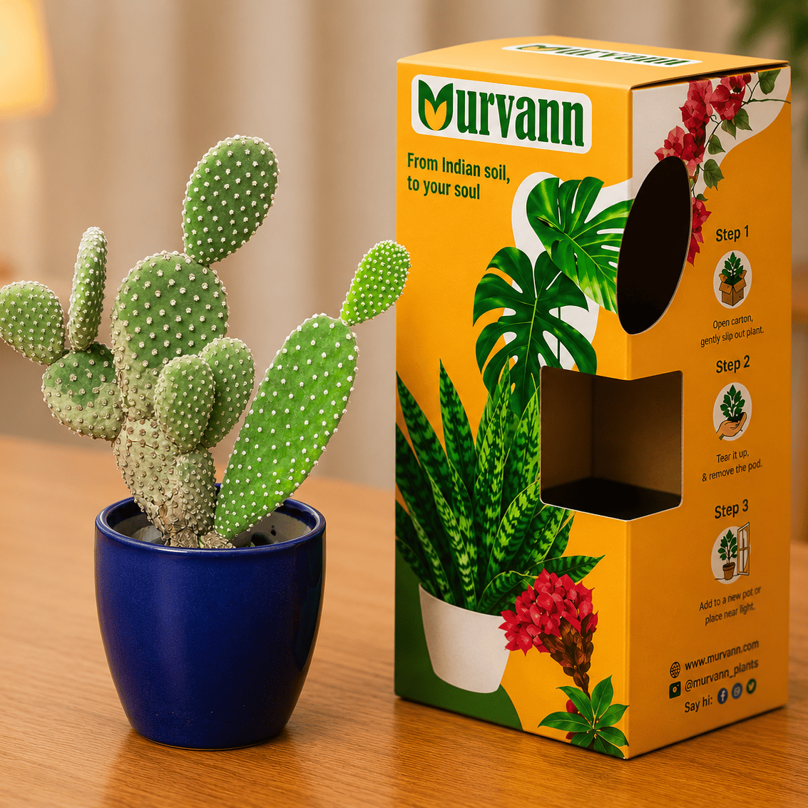 Bunny Ear Cactus in 4 Inch Royal Blue Pixel Cup Ceramic Planter - in Premium Gifting Box