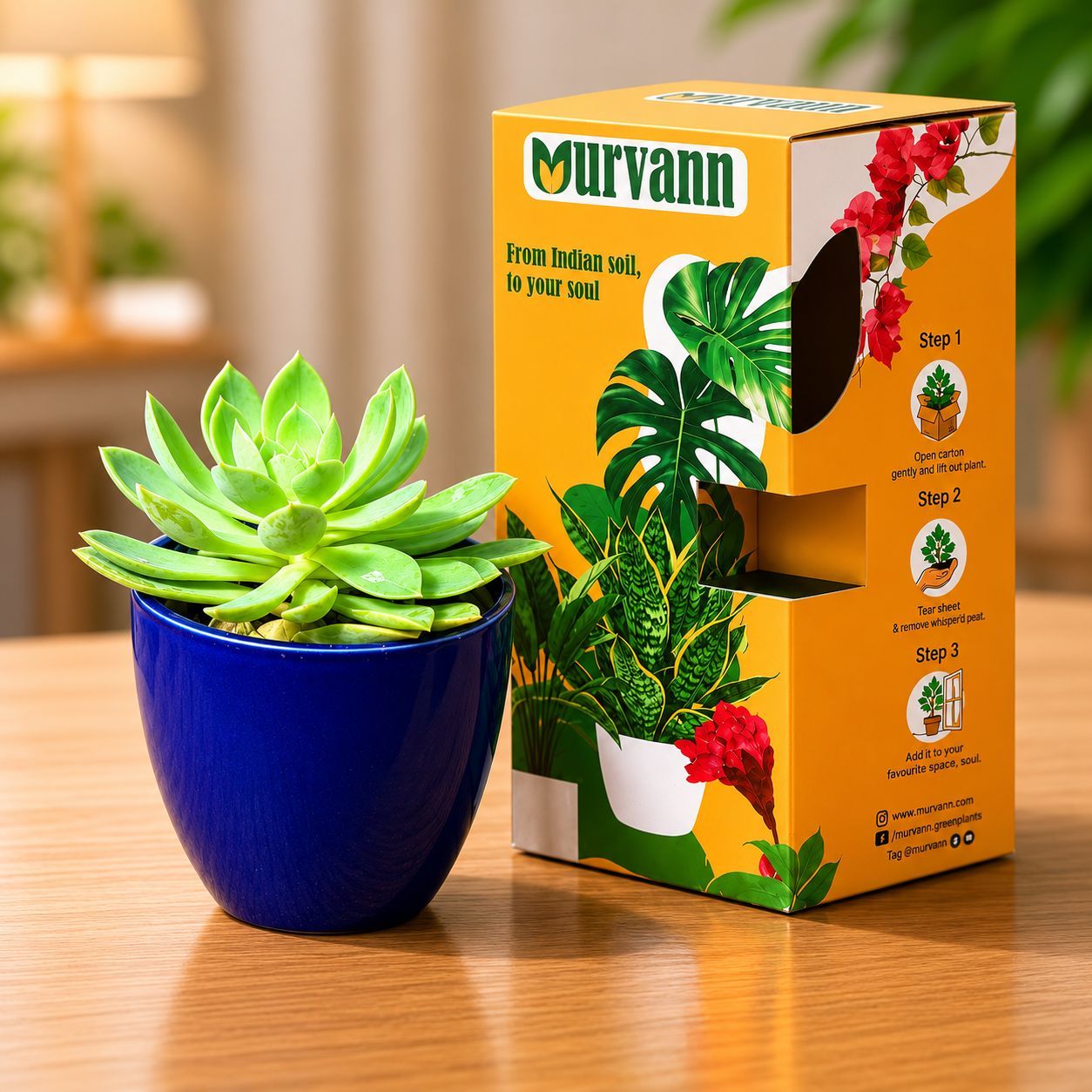 Echeveria Elegans Succulent in 4 Inch Royal Blue Pixel Cup Ceramic Planter - in Premium Gifting Box