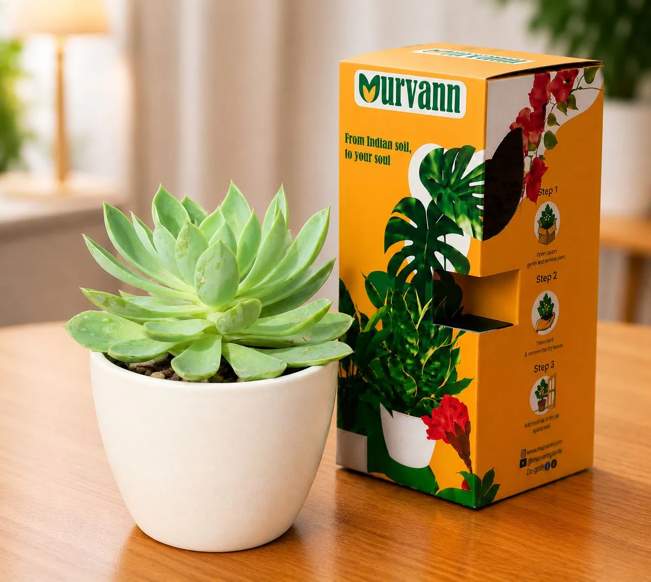 Echeveria Elegans Succulent in 4 Inch White Glossy Bloom Cup Ceramic Planter - in Premium Gifting Box