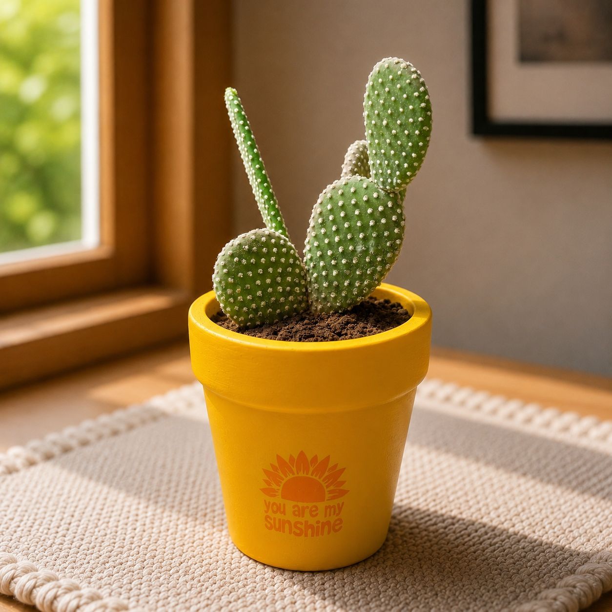 Bunny Ear Cactus in 4 inch Happy Sunshine Premium Clay Terracotta Planter - in Premium Gifting Box