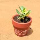 ...