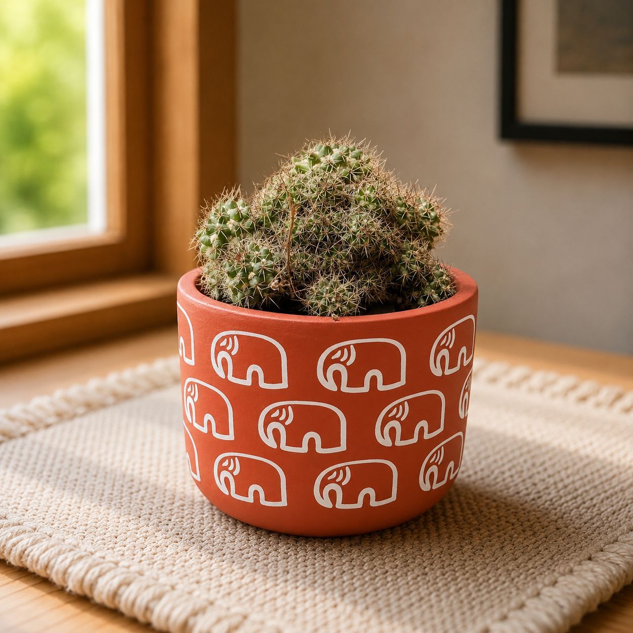 Starburst Spine Cactus  in 4 inch Gajraaj Premium Clay Terracotta Planter - in Premium Gifting Box