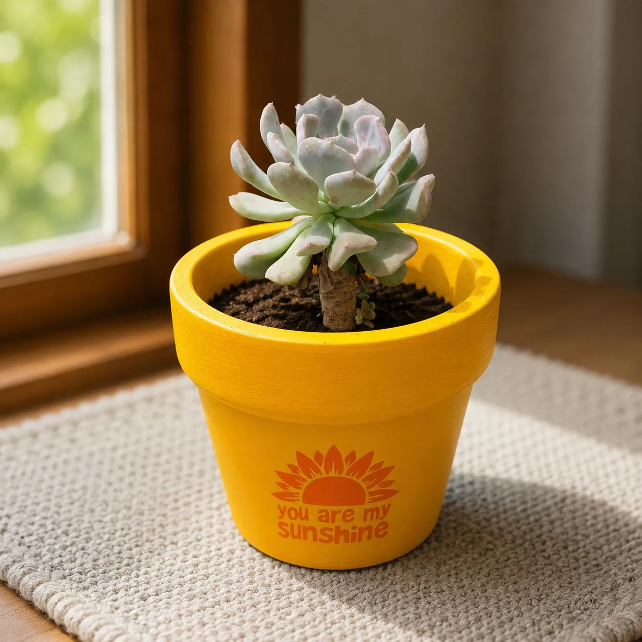 Echeveria Moonglow Succulent in 4 inch Happy Sunshine Premium Clay Terracotta Planter - in Premium Gifting Box