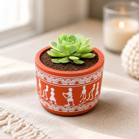 Echeveria Suncup Succulent in 4 inch Boho Warli Art Premium Clay Terracotta Planter - in Premium Gifting Box