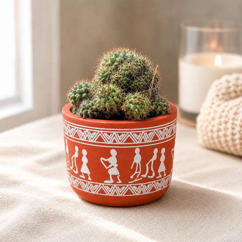 Starburst Spine Cactus  in 4 inch Boho Warli Art Premium Clay Terracotta Planter - in Premium Gifting Box