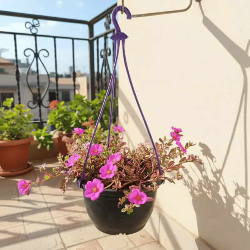 Portulaca Moss Rose (Any Colour) in 6 Inch Hanging Pot