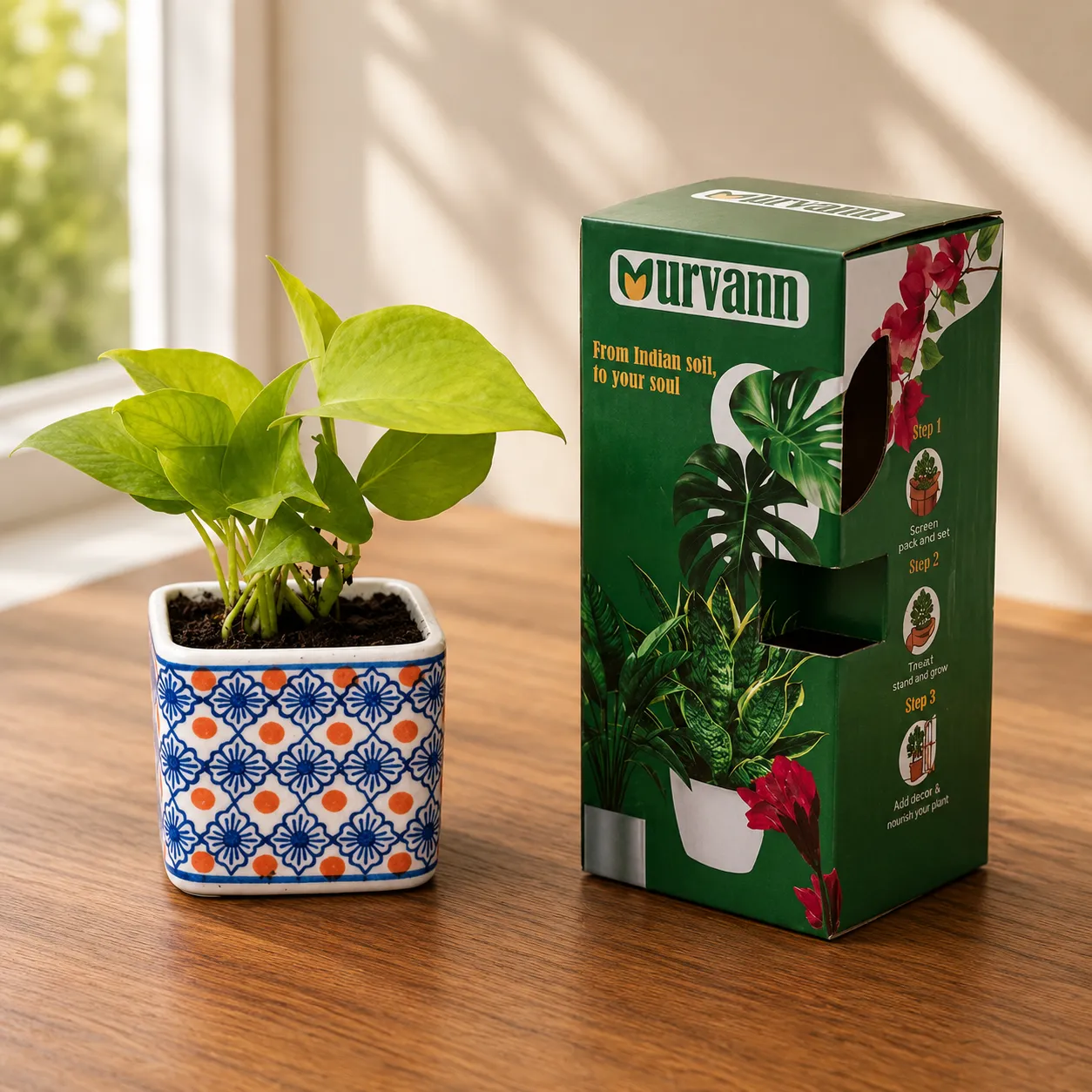 Money Plant Golden in 4 Inch Heritage White Crest Square Ceramic Planter - in Premium Gifting Box