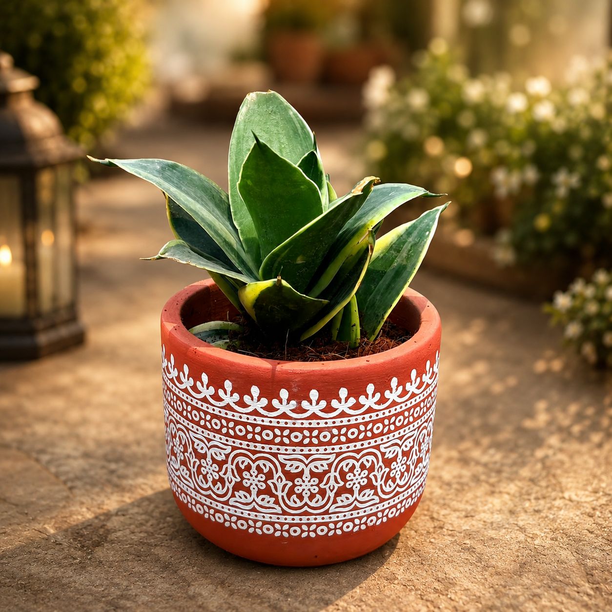 Snake Dwarf Yellow in 4 Inch Handpainted Mandala Premium Clay Terracotta Planter - in Premium Gifting Box