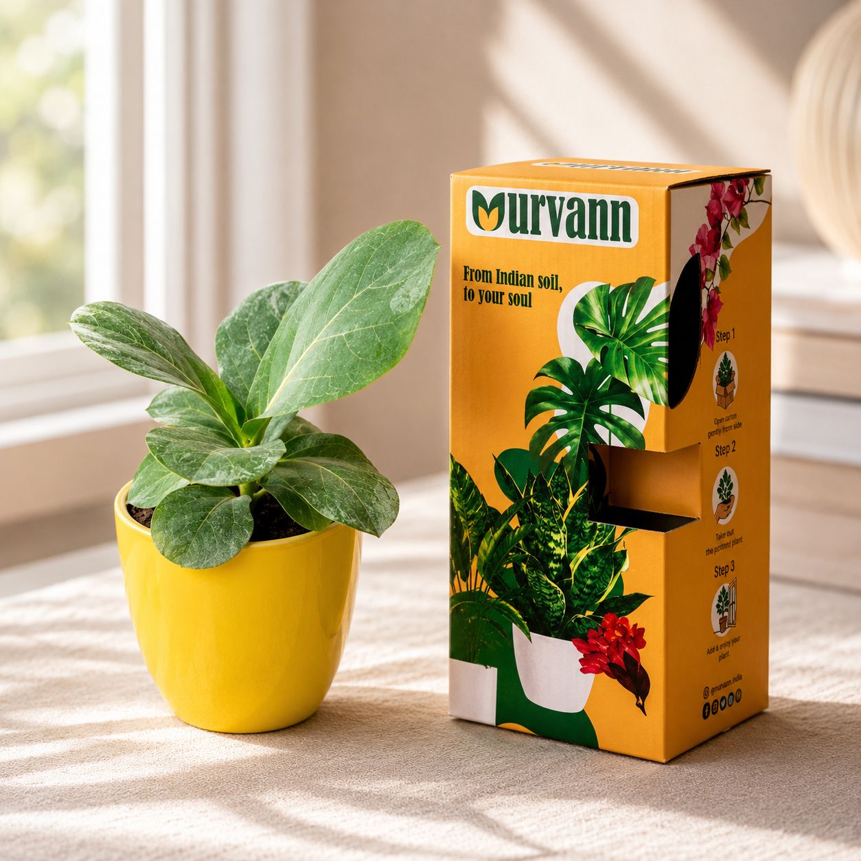 Fiddle Leaf Fig in 4 Inch Sunshine Yellow Pixel Cup Ceramic Planter - in Premium Gifting Box