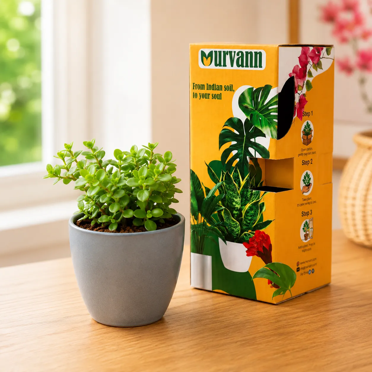 Jade in 4 Inch Grey Matt Pixel Cup Ceramic Planter - in Premium Gifting Box