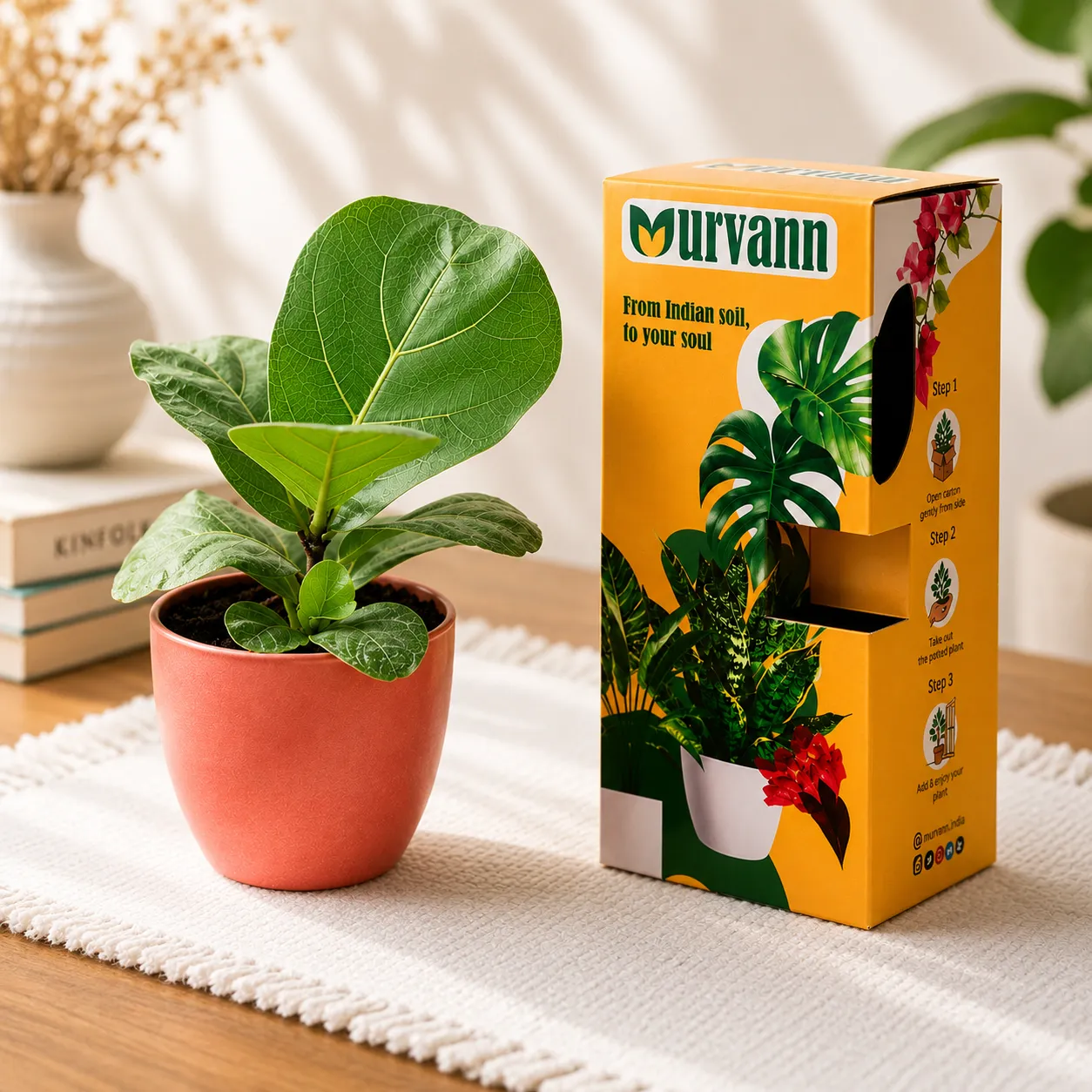 Fiddle Leaf Fig in 4 Inch Blush Pink Pixel Cup Ceramic Planter - in Premium Gifting Box