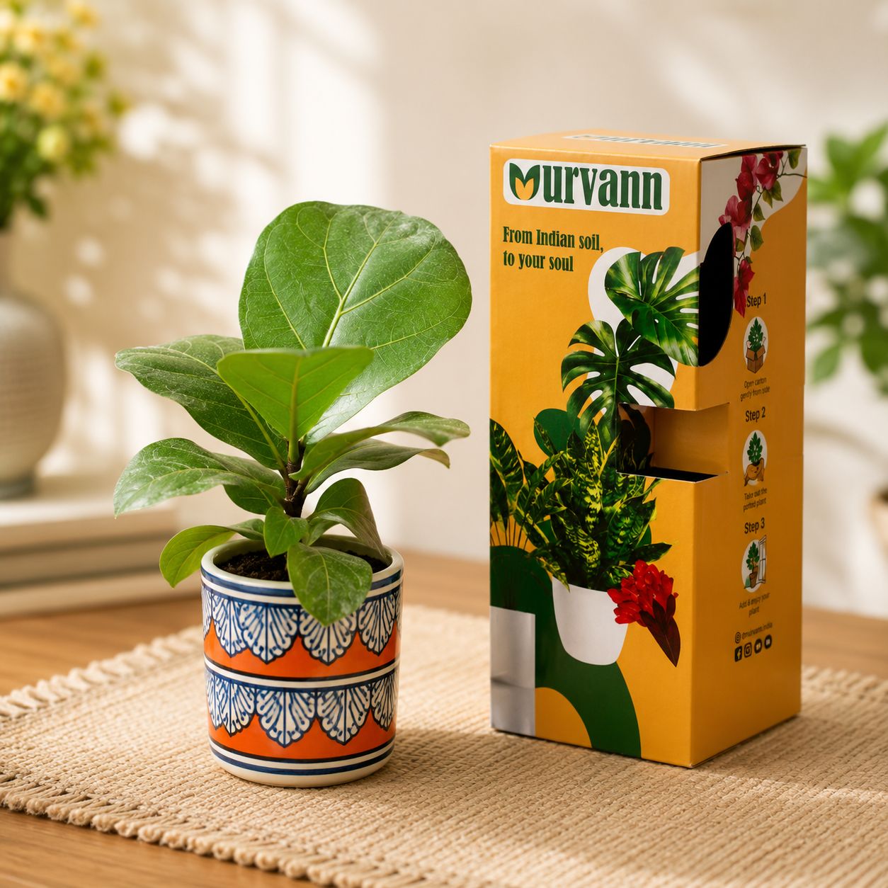 Fiddle Leaf Fig in 4 Inch Heritage Tangerine Stem Pipe Ceramic Planter - in Premium Gifting Box