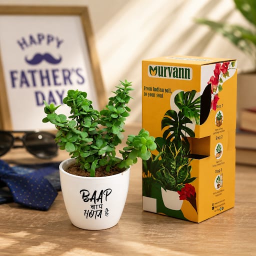 Jade in 4 Inch White Glossy Bloom Cup Ceramic Planter - in Premium Gifting Box