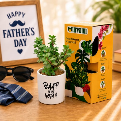 Jade in 4 Inch White Glossy Stem Pipe Ceramic Planter - in Premium Gifting Box