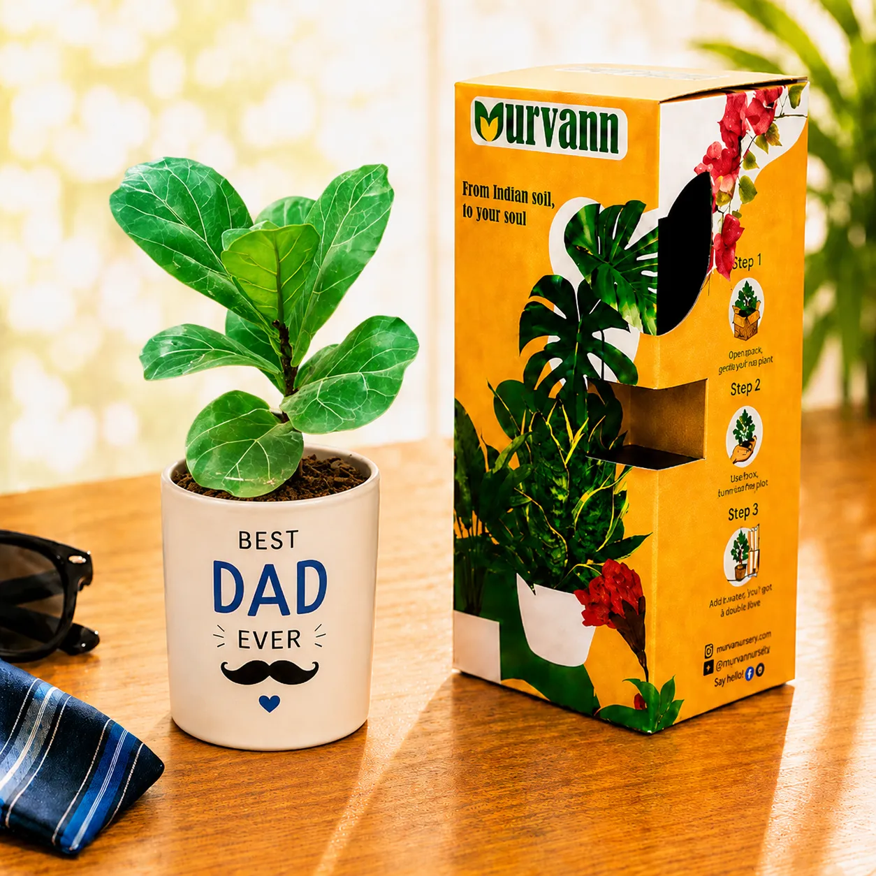 Fiddle Leaf in 4 Inch White Glossy Stem Pipe Ceramic Planter - in Premium Gifting Box