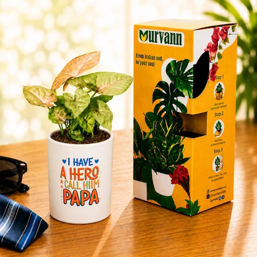 Syngonium Bronze Butterfly in 4 Inch White Glossy Stem Pipe Ceramic Planter - Gift For Dad