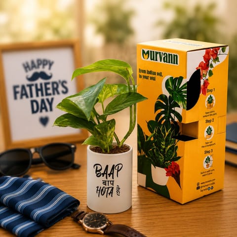 Money Plant Green in 4 Inch White Glossy Stem Pipe Ceramic Planter - Father's day Gift