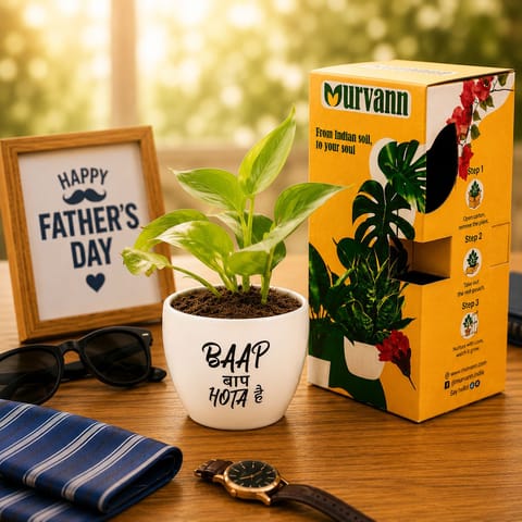 Money Plant Green in 4 Inch White Glossy Bloom Cup Ceramic Planter - Father's day Gift