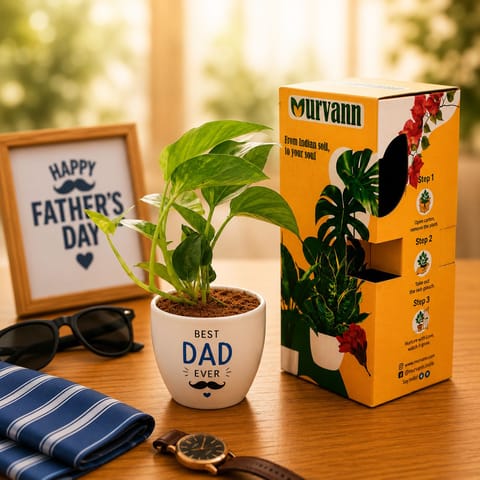Money Plant Green in 4 Inch White Glossy Bloom Cup Ceramic Planter - Father's day Gift
