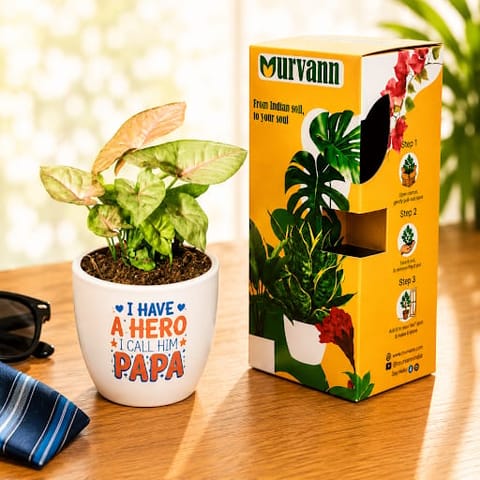 Syngonium Bronze Butterfly in 4 Inch Live Fresh Plant White Glossy Bloom Cup Ceramic Planter - Gift For Dad in Sector 29