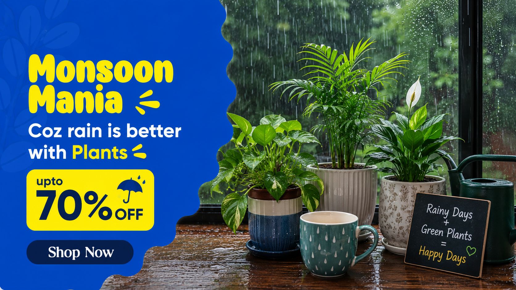 monsoon plants