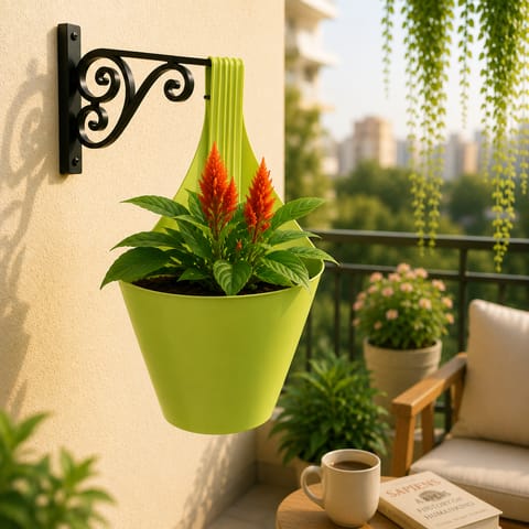 Celosia Red in 8 Inch Green Single Hook Hanging Plastic Pot