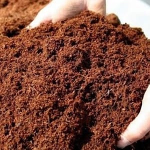 Cocopeat powder 1 KG