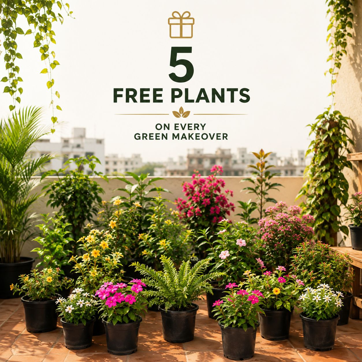 5th Birthday Special - 50+ Potted Outdoor & Flowering Plants + 5 FREE Plants | Curated Blooming Garden Makeover | One-Time Delivery