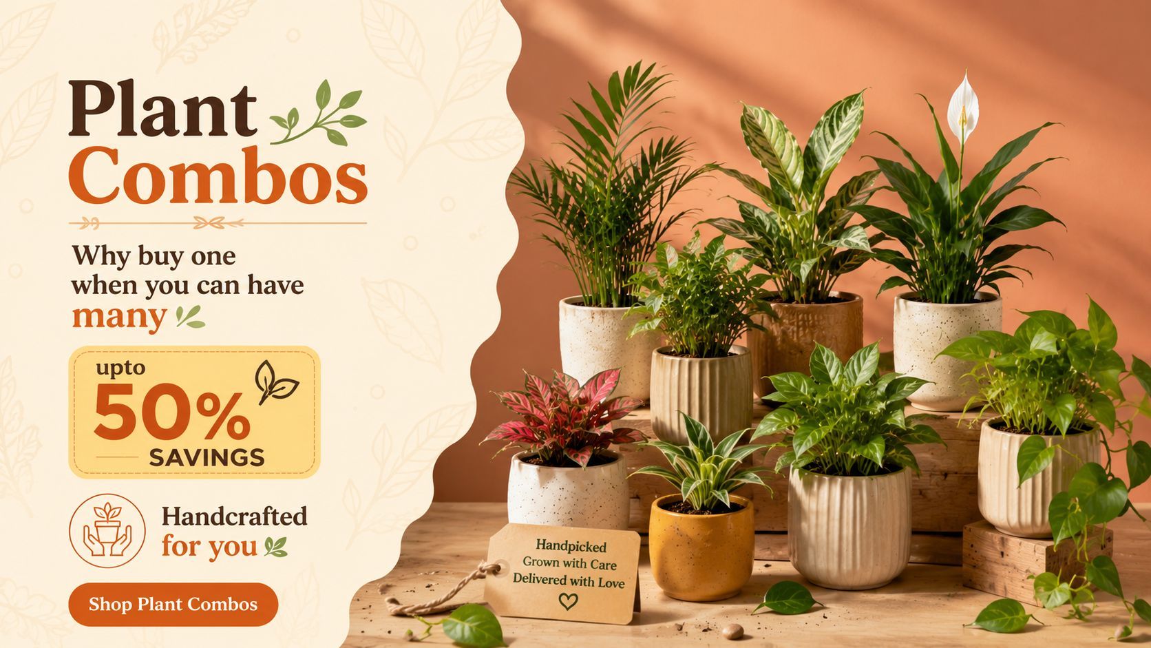 Plant Combos