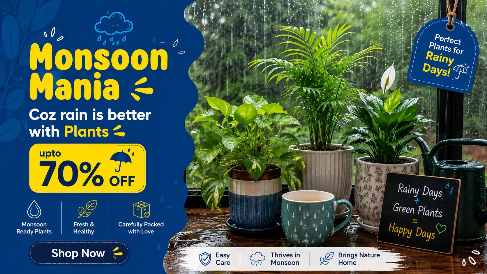 monsoon plants