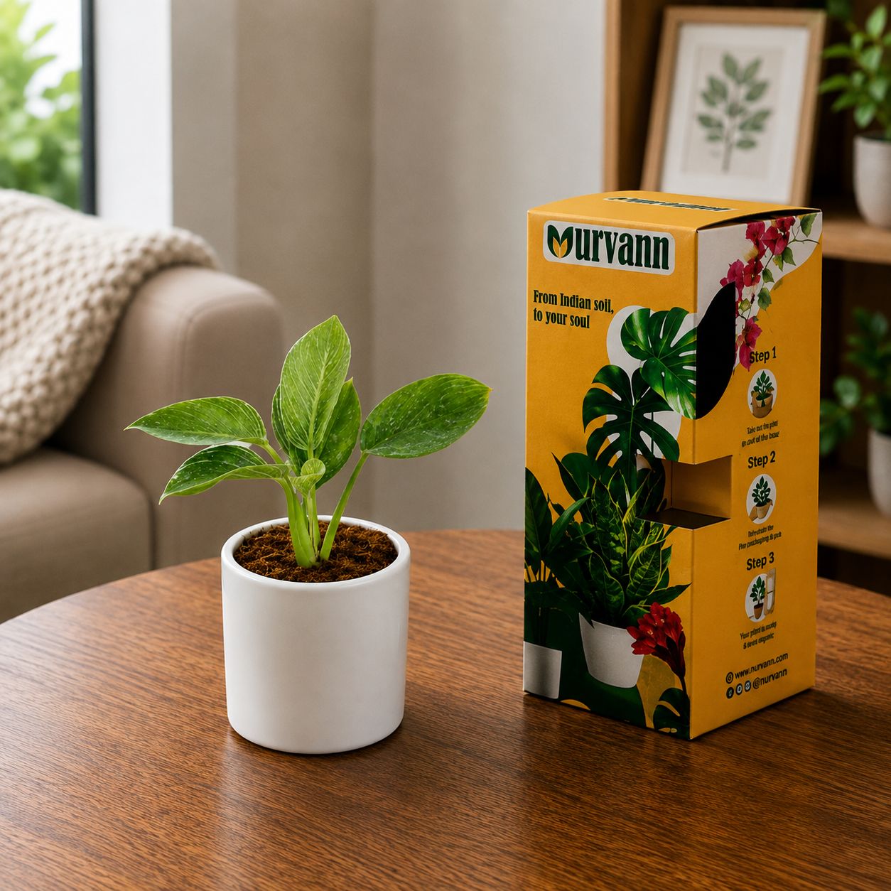 Gift Ready - Philodendron Birkin in 4 Inch White Cylindrical Ceramic Pot - in Premium Gifting Box