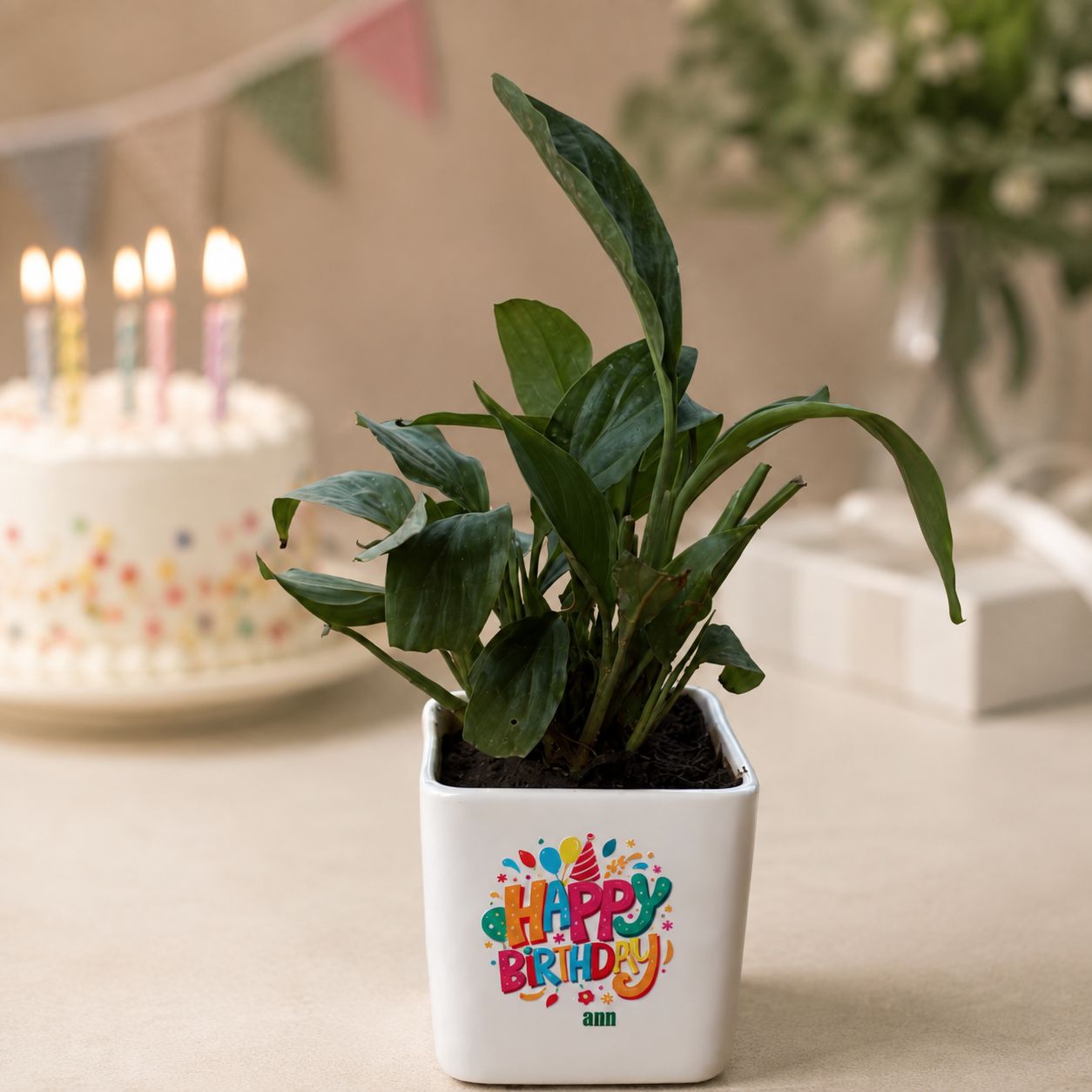 Peace Lily in 4 inch Happy Birthday Ceramic Pot in Premium Gifting Box