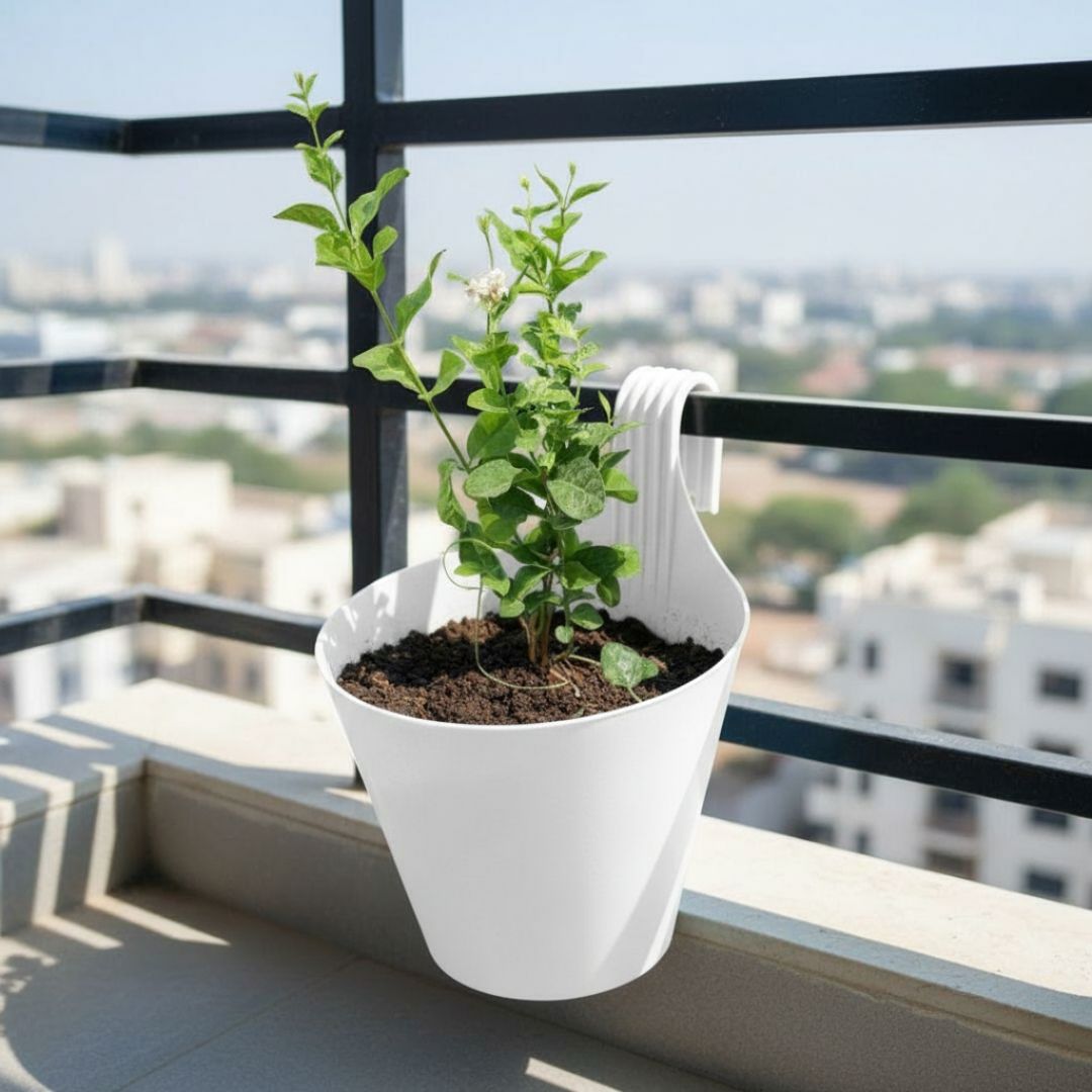 Mogra / Jasmine Pune in 8 Inch White Single Hook Hanging Plastic Pot