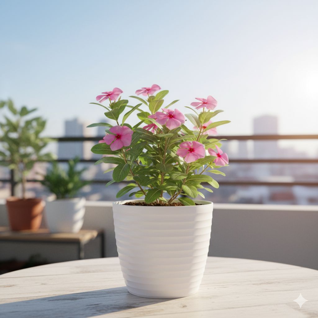 Periwinkle Pink in 5 Inch White Avora Premium Plastic Planter