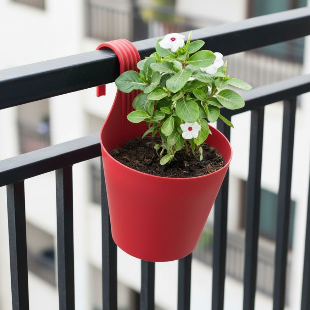 Periwinkle / Vinca / Sadabahar (Any Colour) in 8 Inch Red Single Hook Hanging Plastic Pot