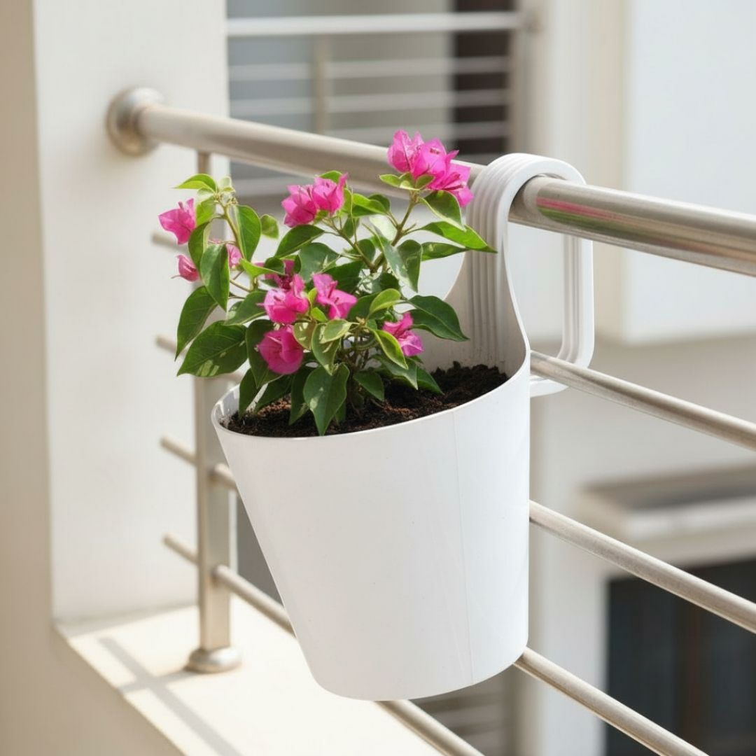Bougainvillea Pink in 8 Inch White Single Hook Hanging Plastic Pot
