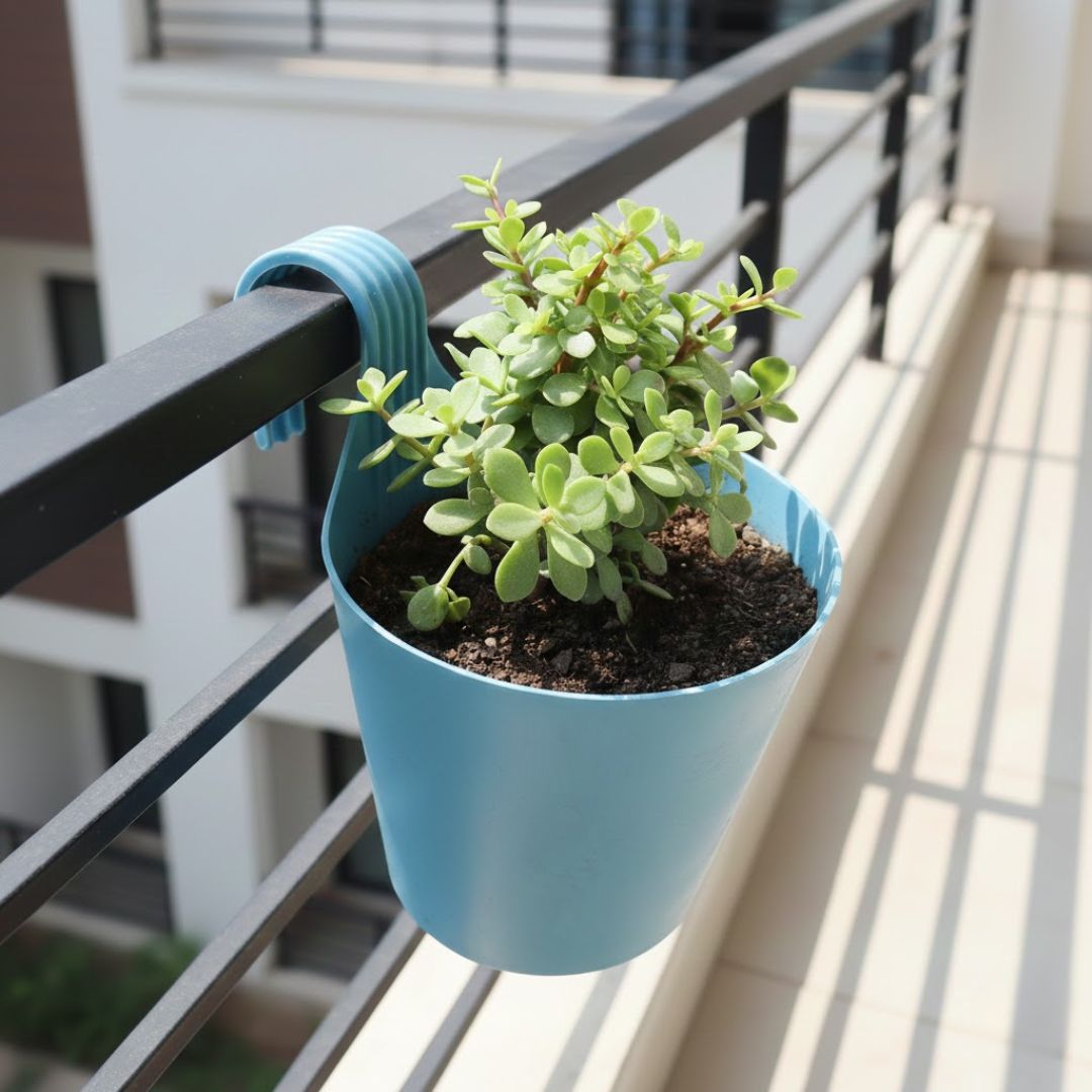 Jade Pune in 8 Inch Blue Marble Single Hook Hanging Plastic Pot