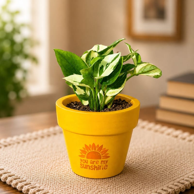 ...