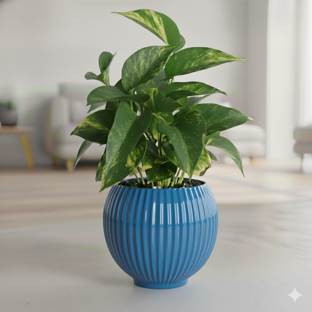 Money Plant Green in 5 Inch Azure Blue Matt Sylvan Plastic Pot