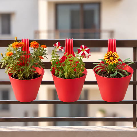 Hanging Plants Combo - Set of 3 - Marigold / Genda Orange, Petunia, Gazania (Any Colour) in 8 Inch Red Single Hook Hanging Plastic Pot |