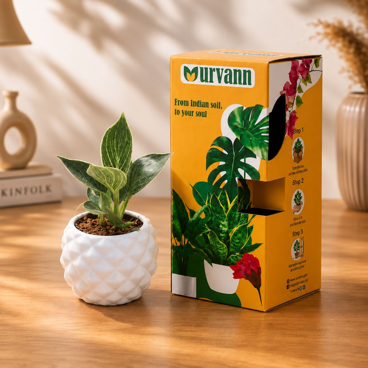 Philodendron Birkin in 4 Inch Classy White Pineapple Textured Ceramic Pot in Premium Gifting Box