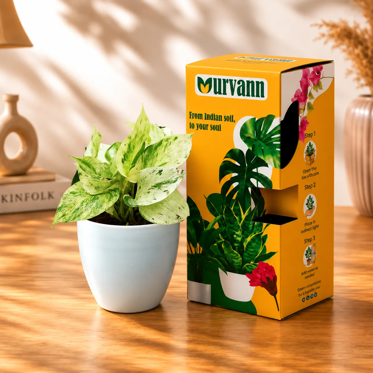 Money Plant Marble in 4 Inch White Classy Cup Ceramic Pot in Premium Gifting Box