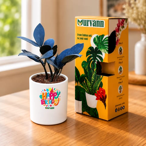 Zz Black in 4 inch Happy Birthday White Glossy Stem Pipe Ceramic Planter in Premium Gifting Box