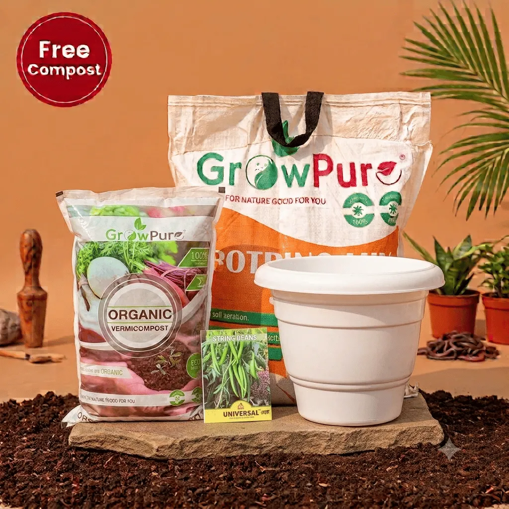 Chilli / Mirchi Jawala Planting Kit with FREE VERMICOMPOST | 12 Inch White Classy Plastic Pot, Potting Mix 10 kg & FREE Vermicompost 2 kg