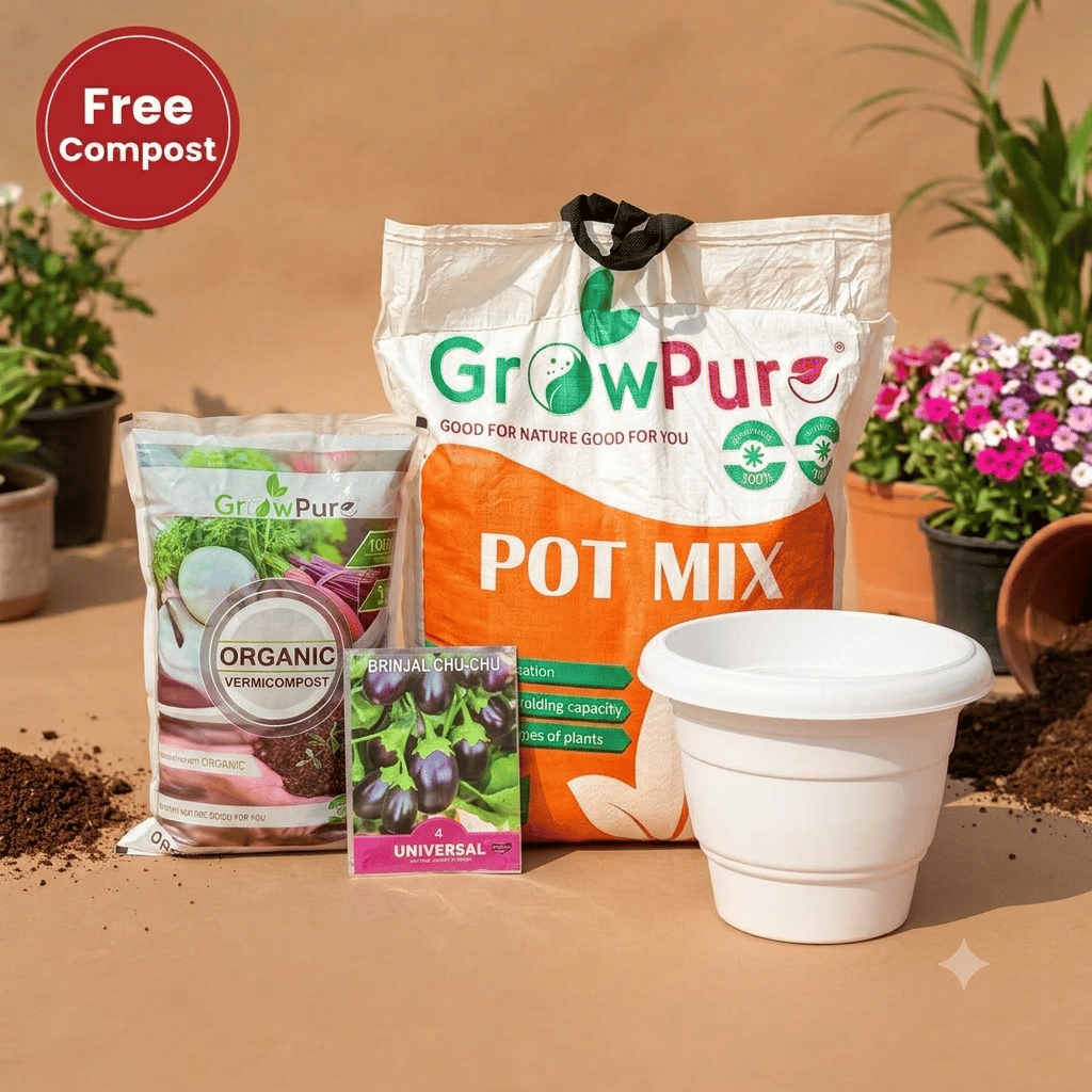 Brinjal Chu Chu Planting Kit with FREE VERMICOMPOST | 12 Inch White Classy Plastic Pot, Potting Mix 10 kg & FREE Vermicompost 2 kg