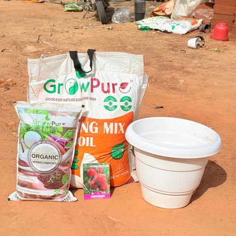 Tomato  Planting Kit with FREE VERMICOMPOST | 12 Inch White Classy Plastic Pot, Potting Mix 10 kg & FREE Vermicompost 2 kg