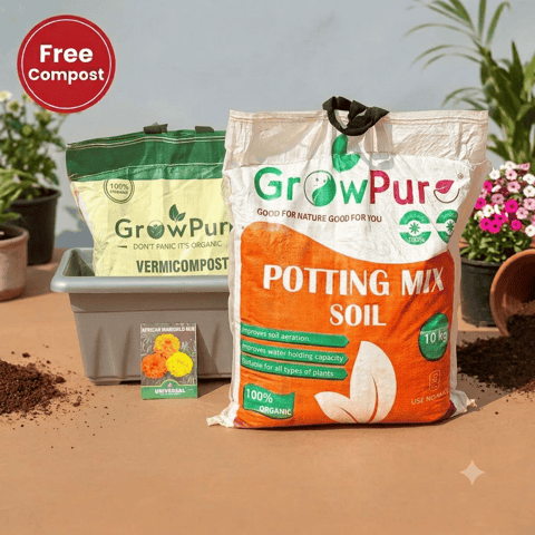 Marigold / Genda Planting Kit with FREE VERMICOMPOST | 20 Inch Grey Premium Supreme Window Plastic Planter, Potting Mix 10 kg & FREE Vermicompost 5 KG